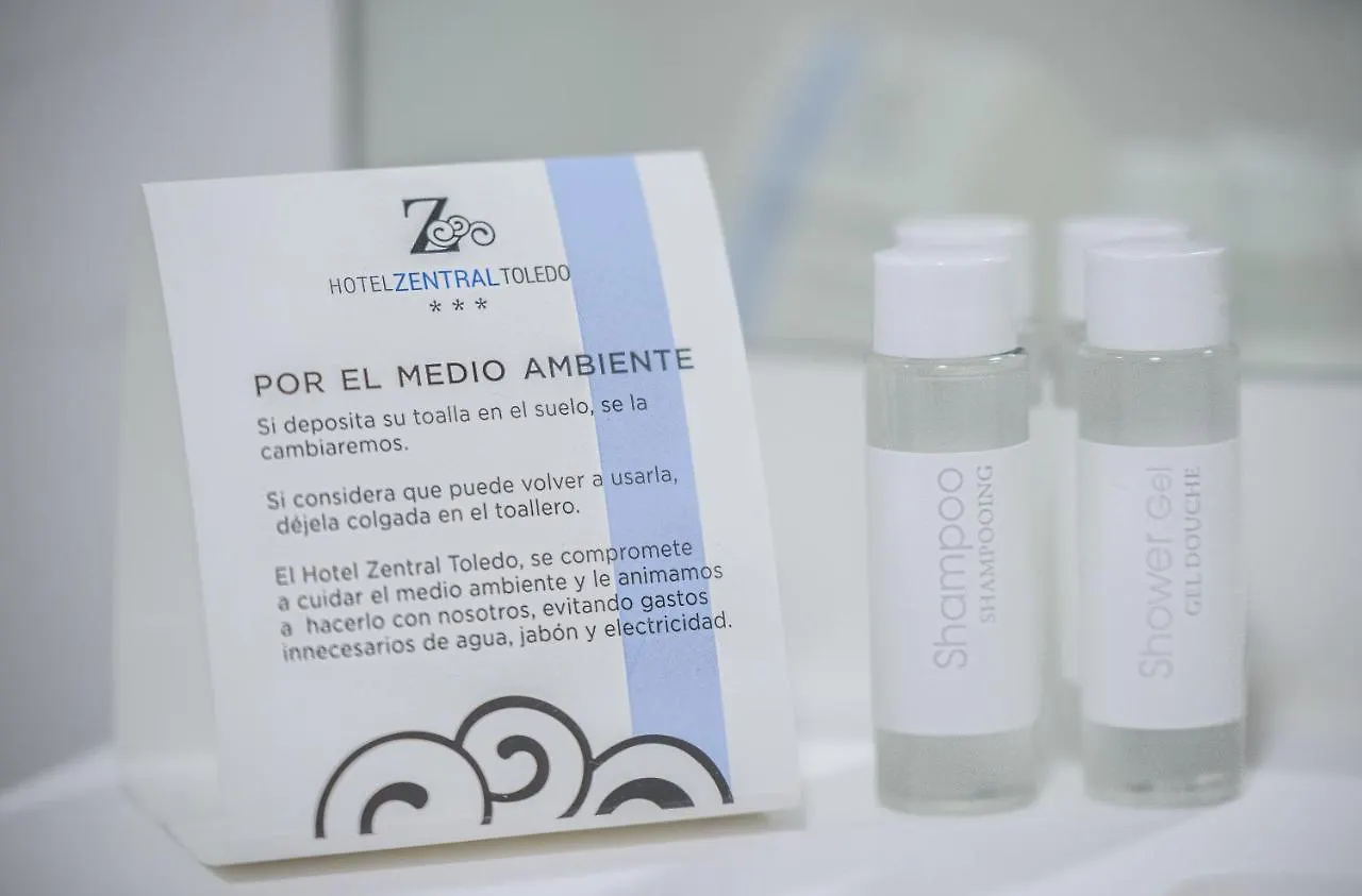 Hotel Zentral Mayoral Toledo